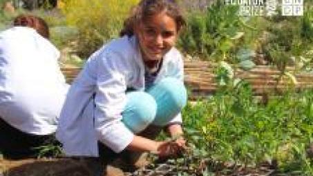 a person in a garden