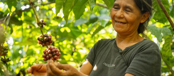 a smiling woman picks coffee beans