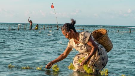 SIDS. Timor Leste