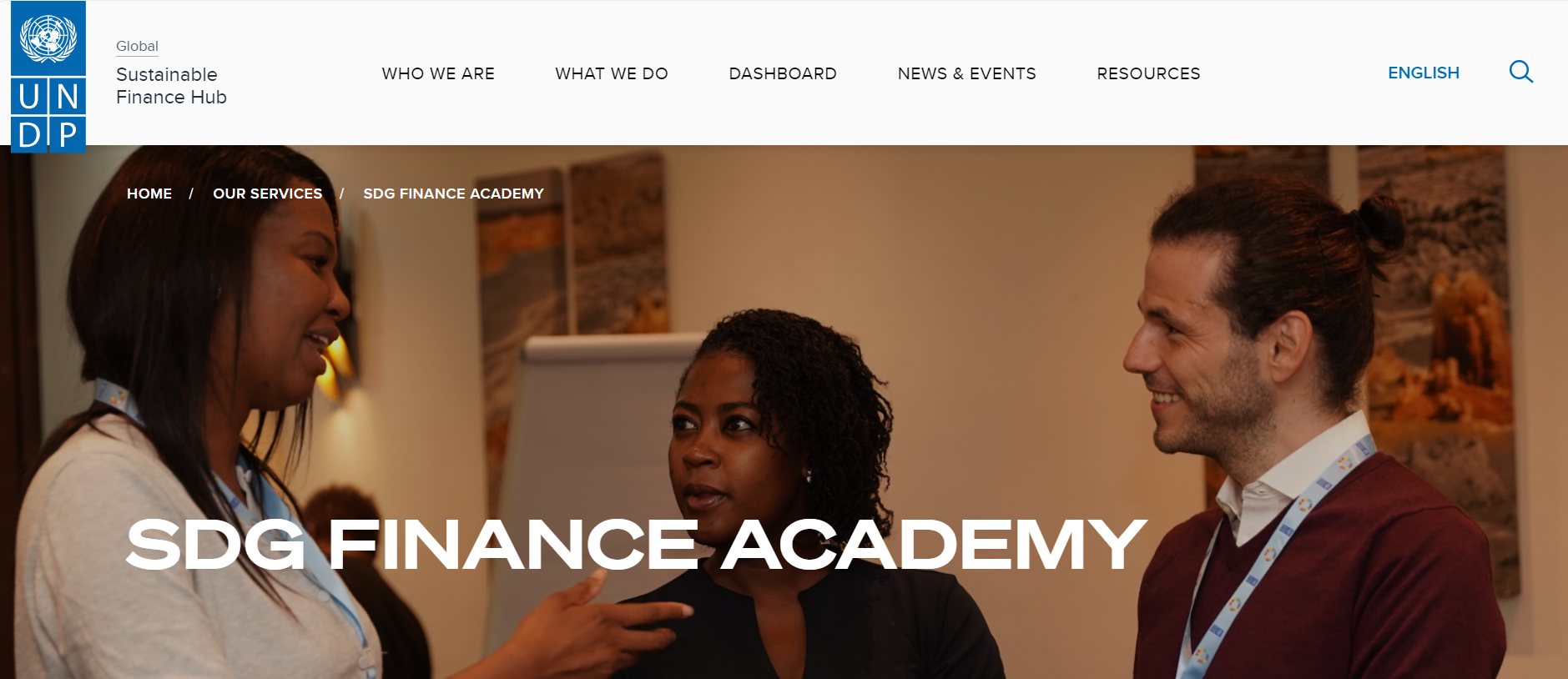 SDG Finance Academy website screenshot